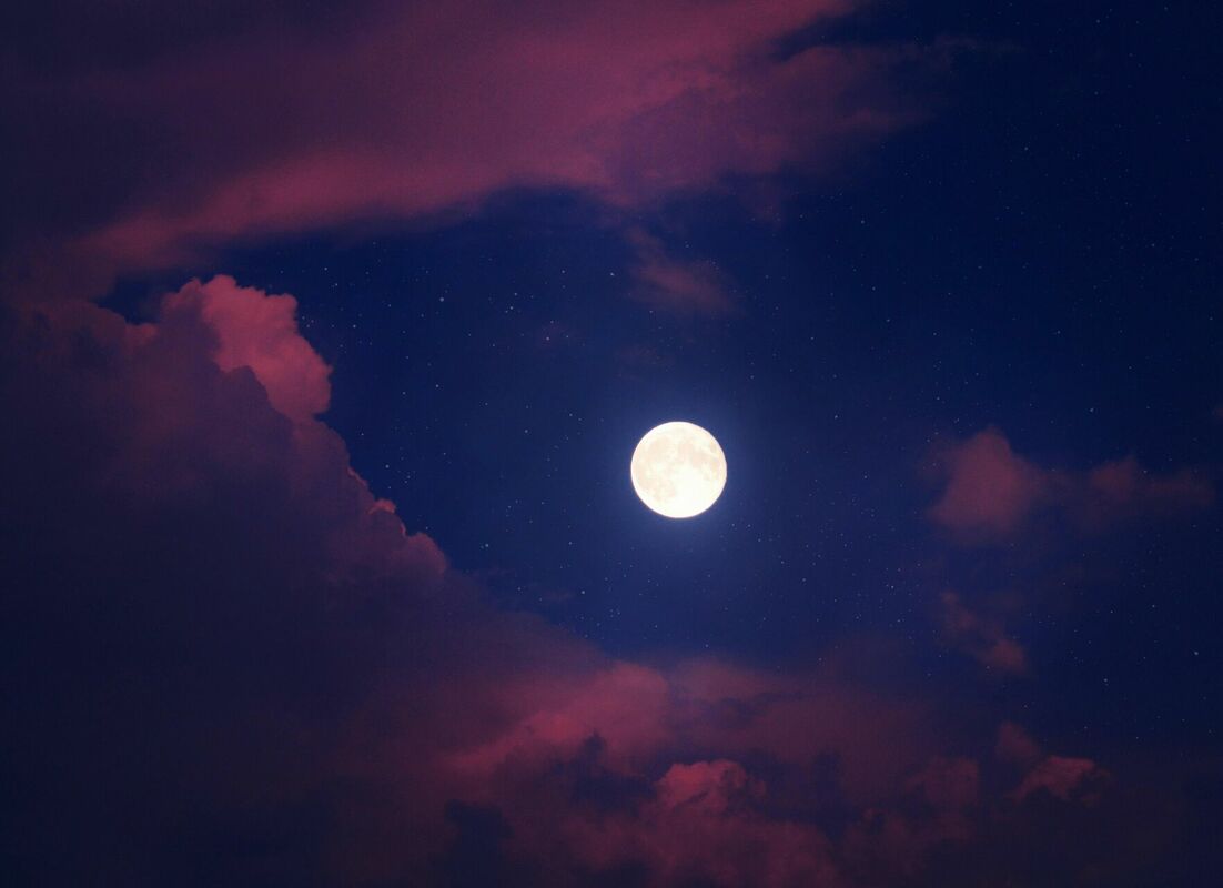 Foto: Pexels Foto: Pexels