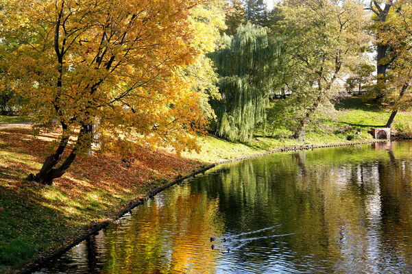 Foto: Zane Bitere/LETA Foto: Zane Bitere/LETA