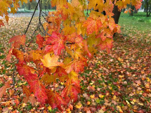 Foto: 1188 Foto: 1188