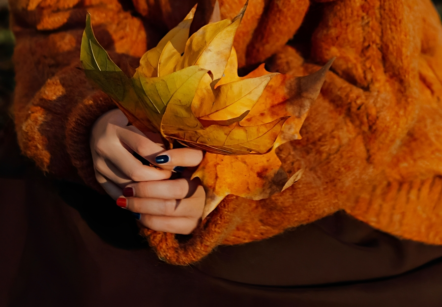 Foto: Pexels Foto: Pexels