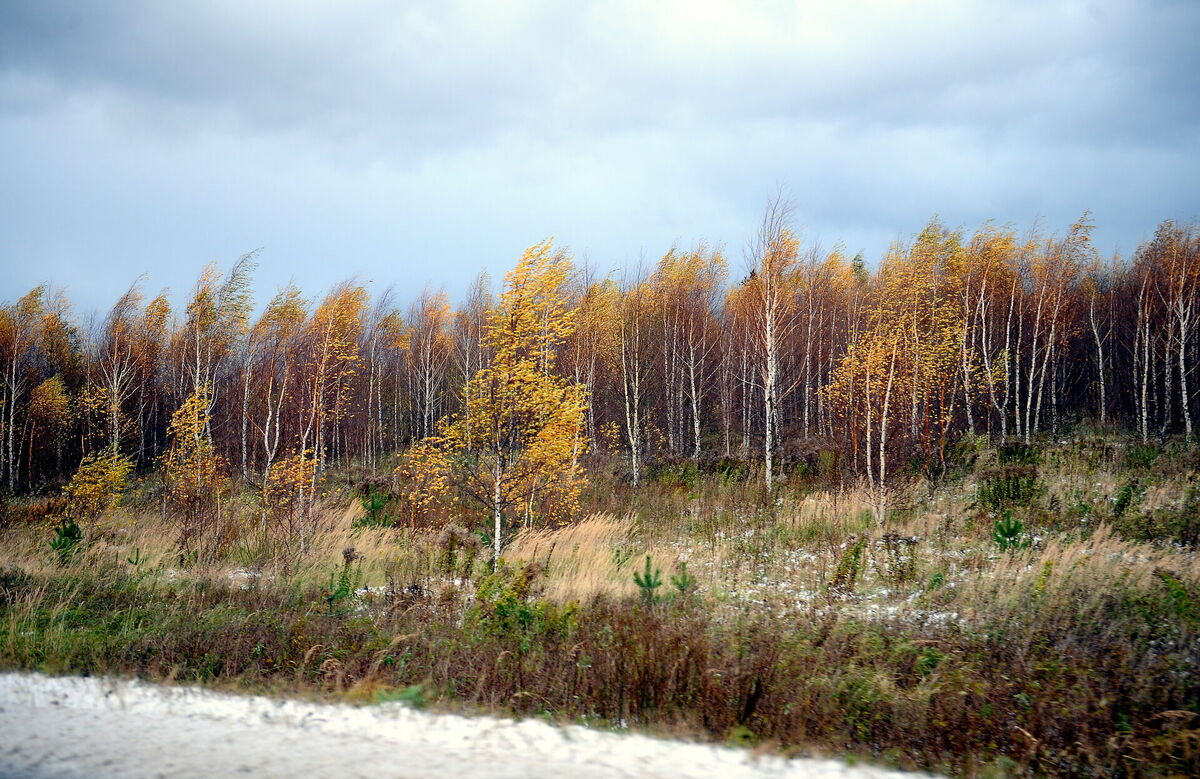 Foto: Ieva Čīka/ LETA Foto: Ieva Čīka/ LETA