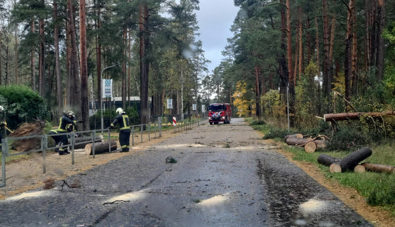 Foto: Ropažu novada pašvaldība / Facebook Foto: Ropažu novada pašvaldība / Facebook