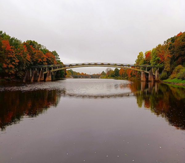 Ogre. Foto: Ināra Melece Ogre. Foto: Ināra Melece