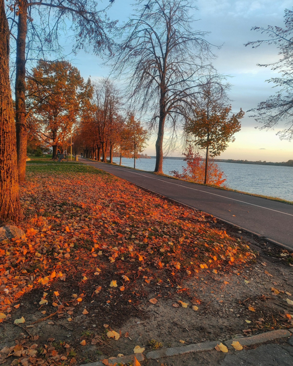 Ķengarags. Foto: Megija Guļbinska Ķengarags. Foto: Megija Guļbinska