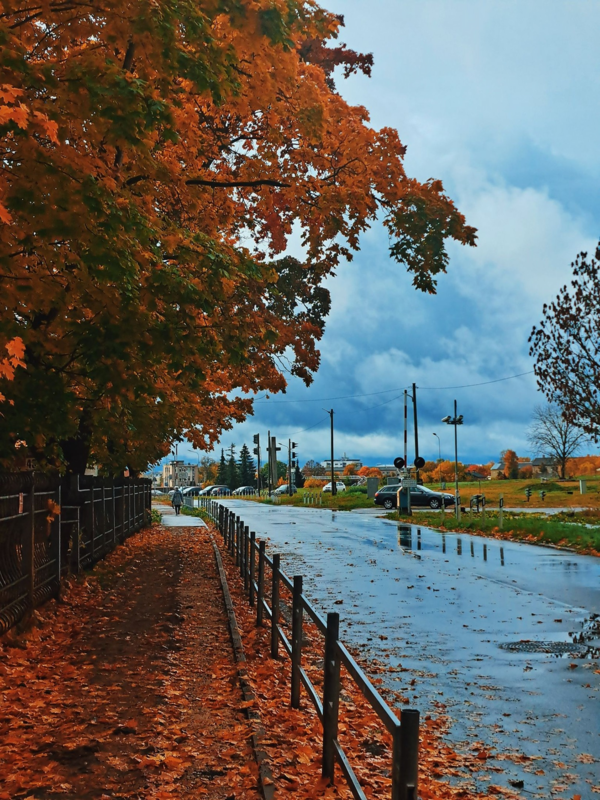 Foto: Grieta Grietuks Foto: Grieta Grietuks