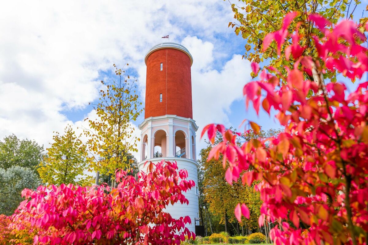 Foto: Publicitātes attēls Foto: Publicitātes attēls