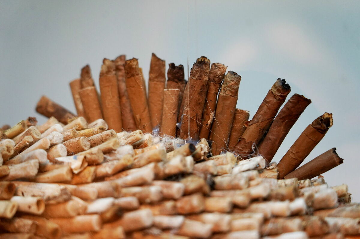 Foto: Zane Bitere/LETA Foto: Zane Bitere/LETA