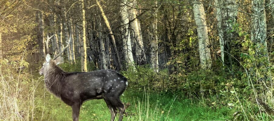 Foto: Toomas Näär/Eesti Jahimeeste Selts Foto: Toomas Näär/Eesti Jahimeeste Selts