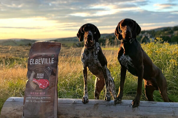 Foto: facebook.com/elbeville Foto: facebook.com/elbeville