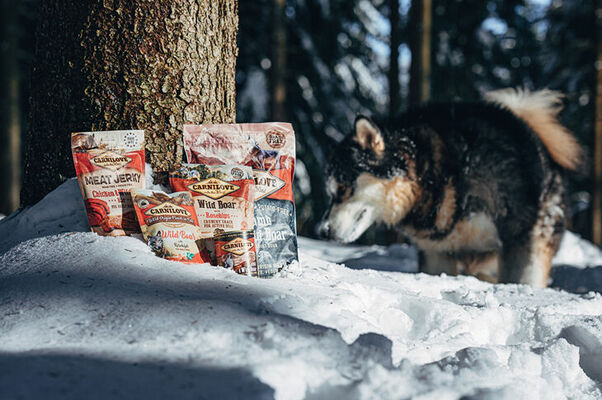 Foto: facebook.com/carnilove.cs Foto: facebook.com/carnilove.cs