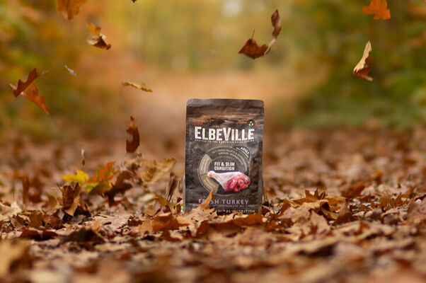 Foto: facebook.com/elbeville Foto: facebook.com/elbeville