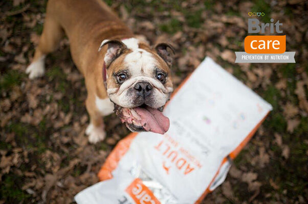 Foto: dinozoo.lv Foto: dinozoo.lv