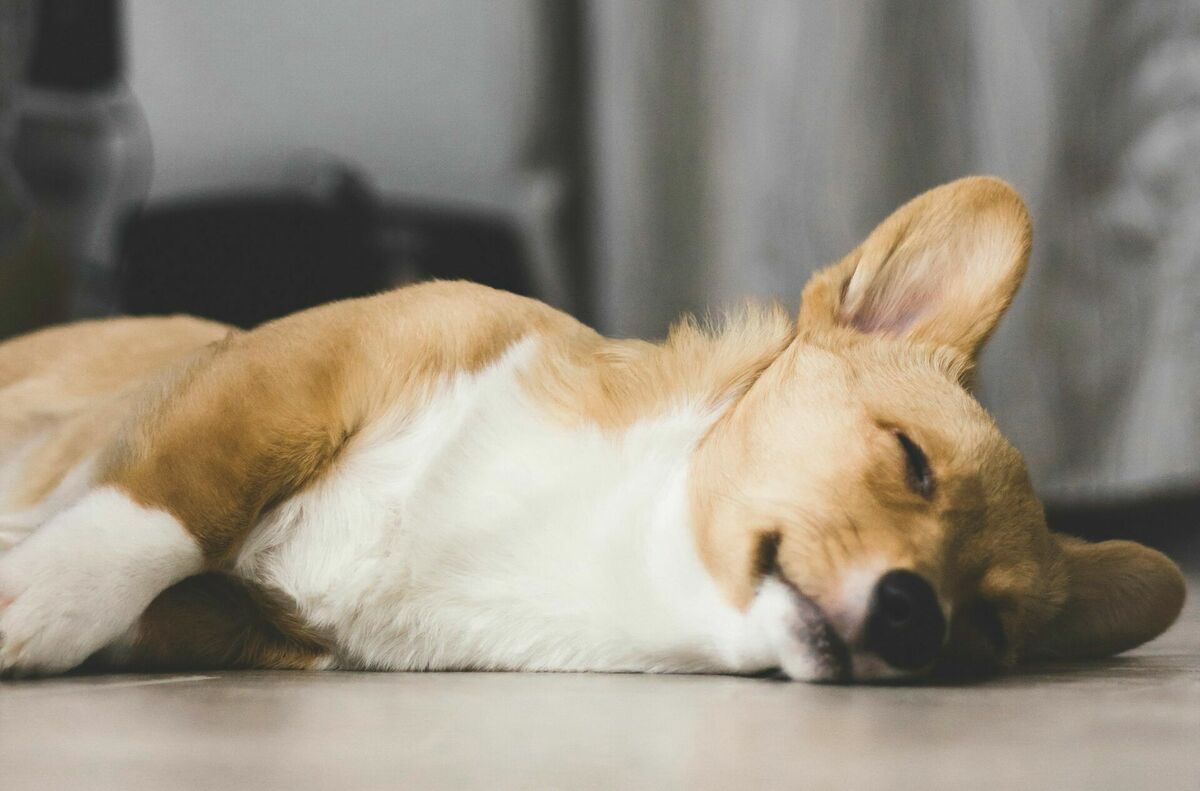 Foto: Unsplash Foto: Unsplash