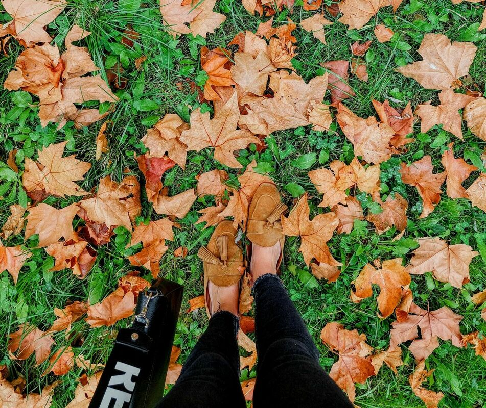 Foto: Pexels Foto: Pexels