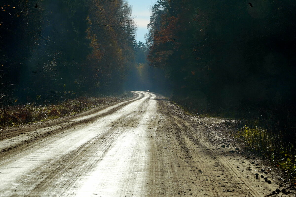 Foto: Evija Trifanova/LETA Foto: Evija Trifanova/LETA