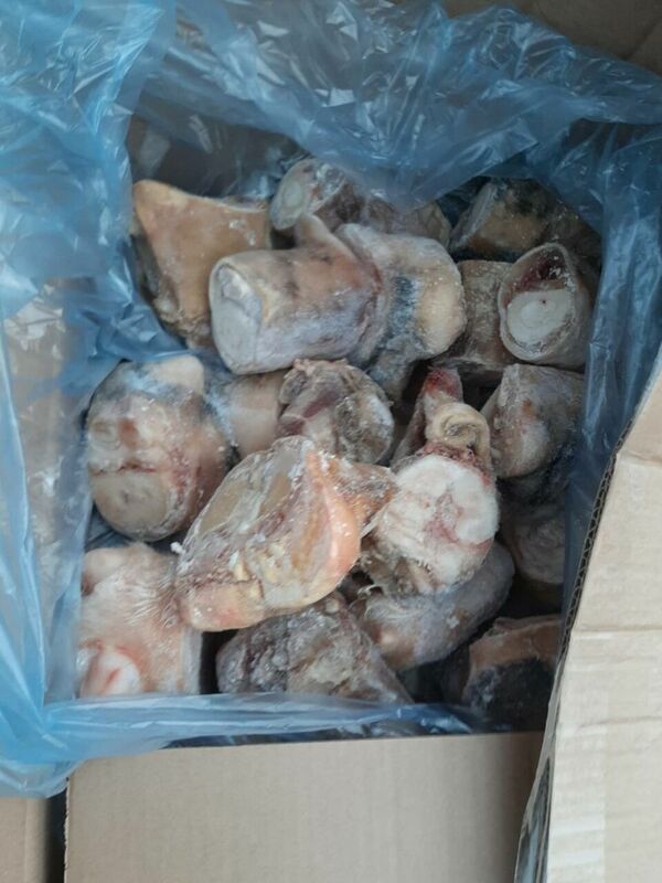 Foto: DZAB ''Ķepu-ķepā''/Facebook Foto: DZAB ''Ķepu-ķepā''/Facebook