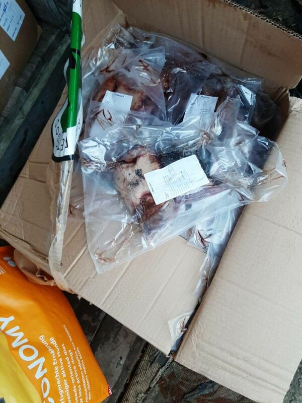 Foto: DZAB ''Ķepu-ķepā''/Facebook Foto: DZAB ''Ķepu-ķepā''/Facebook