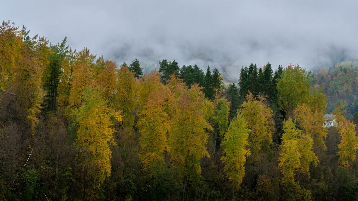 Foto: Pexels Foto: Pexels