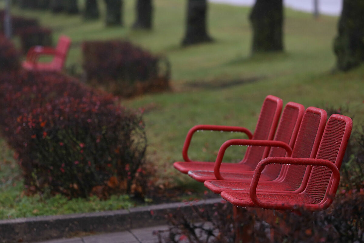 Foto: Paula Čurkste/ LETA Foto: Paula Čurkste/ LETA