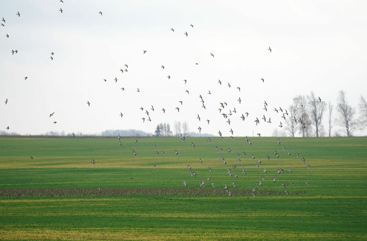 Foto: LETA Foto: LETA