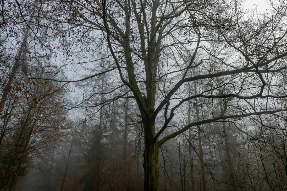 Foto: Unsplash Foto: Unsplash