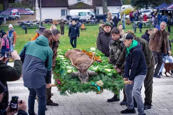 Foto: Ziemelis Photography Foto: Ziemelis Photography