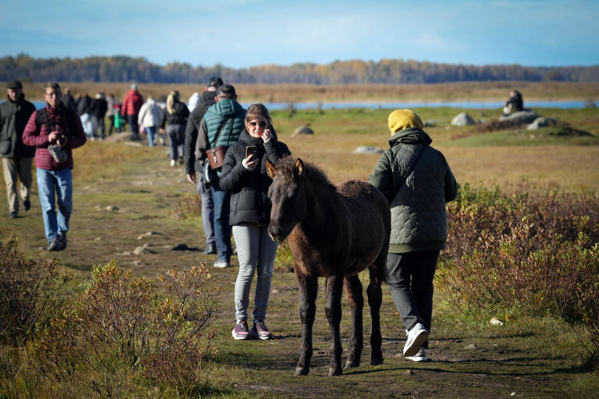Foto: Edijs Pālens/LETA Foto: Edijs Pālens/LETA