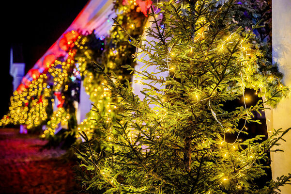 Foto: Publicitātes Foto: Publicitātes