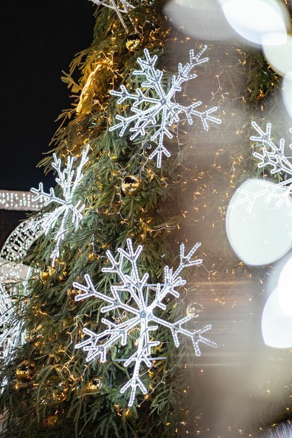 Foto: "LIDO" Foto: "LIDO"