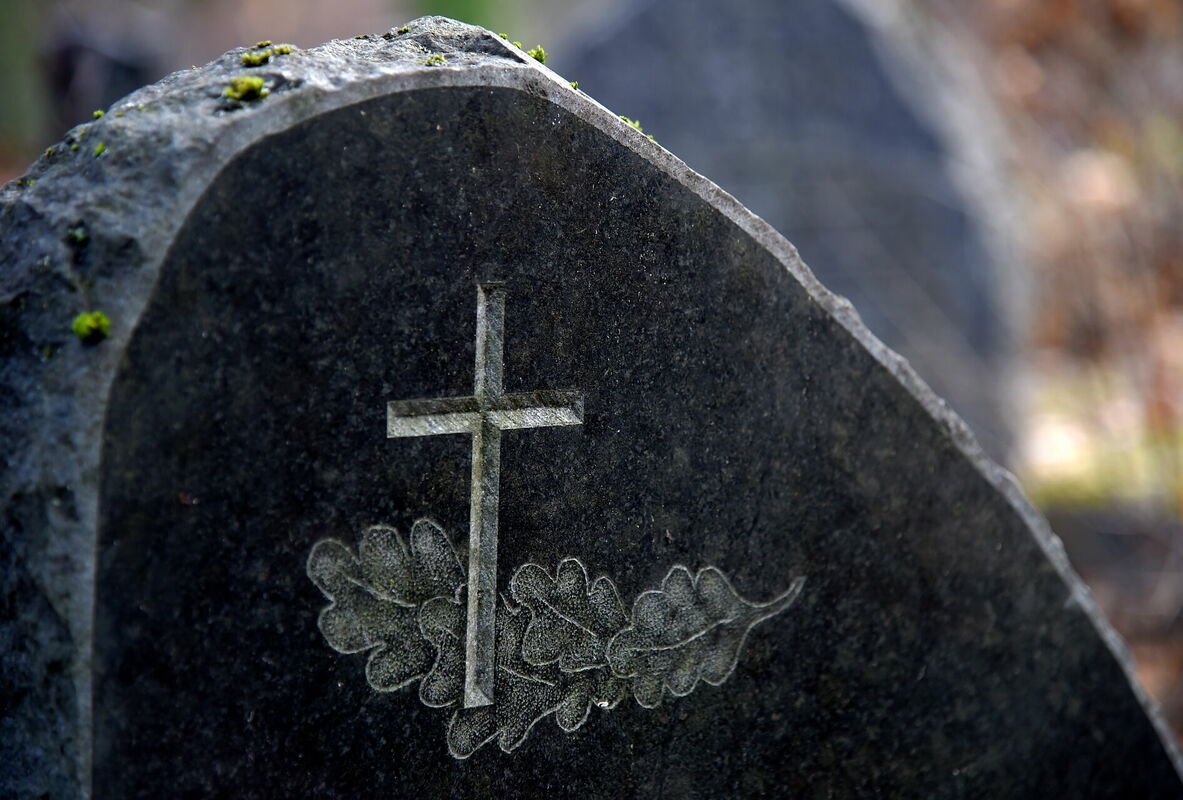 Foto: Zane Bitere/LETA Foto: Zane Bitere/LETA