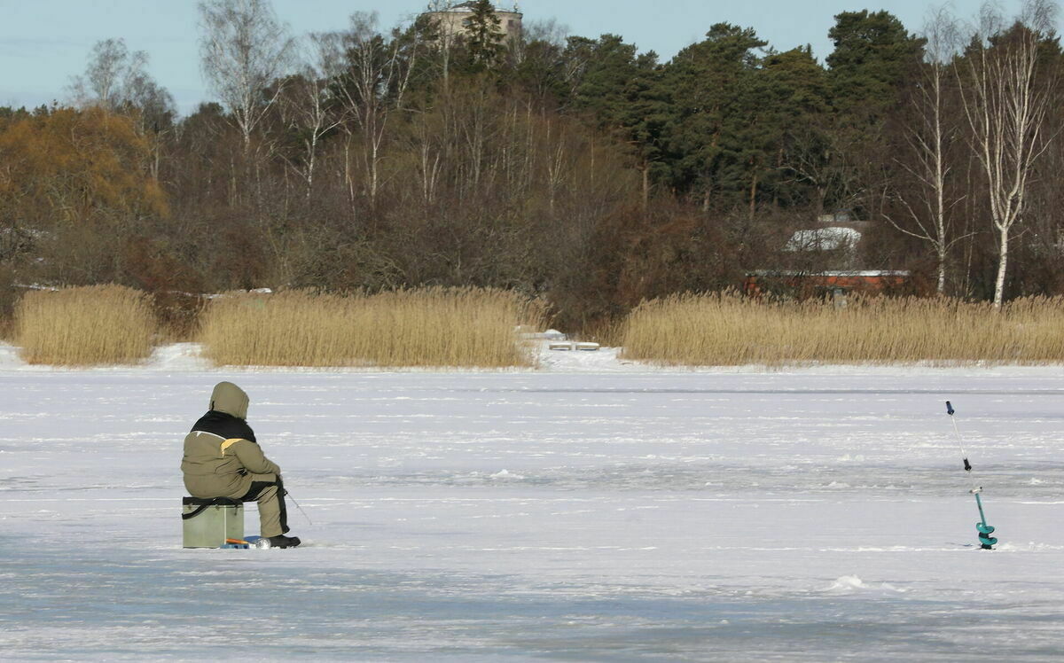 Zemledus makšķernieks. Foto: Evija Trifanova/LETA Zemledus makšķernieks. Foto: Evija Trifanova/LETA