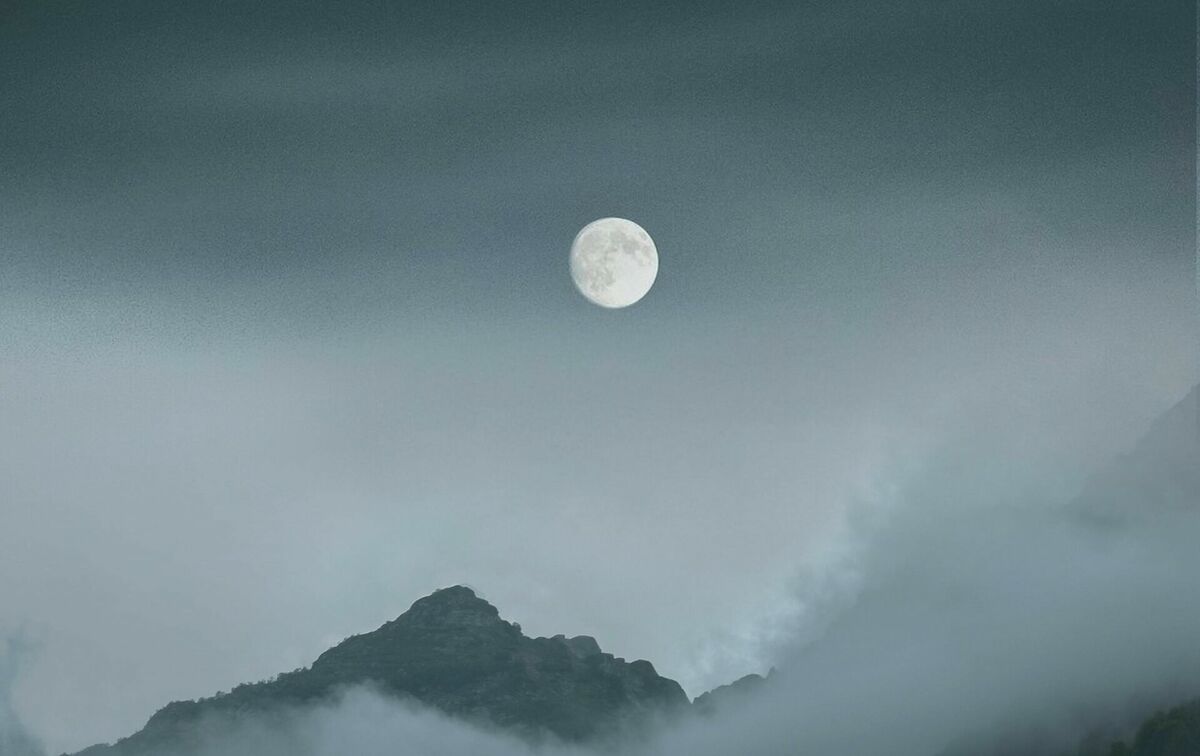 Foto: Pexels Foto: Pexels