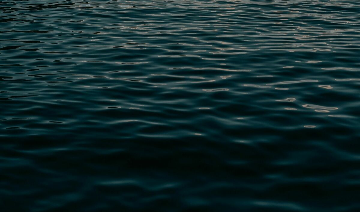 Foto: Unsplash Foto: Unsplash