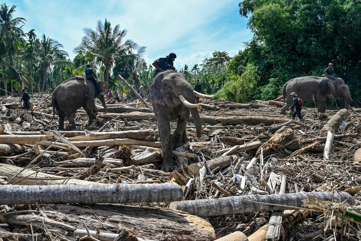 Foto: Chaideer MAHYUDDIN / AFP / Scanpix Foto: Chaideer MAHYUDDIN / AFP / Scanpix