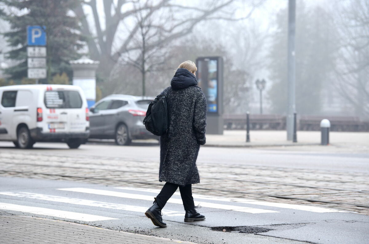 Foto: Zane Bitere/LETA Foto: Zane Bitere/LETA