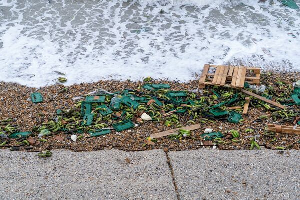 Foto: Coastal JJ UK/ X Foto: Coastal JJ UK/ X