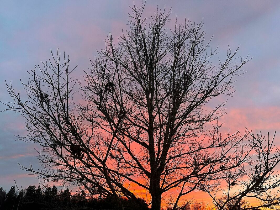 Foto: 1188.lv Foto: 1188.lv