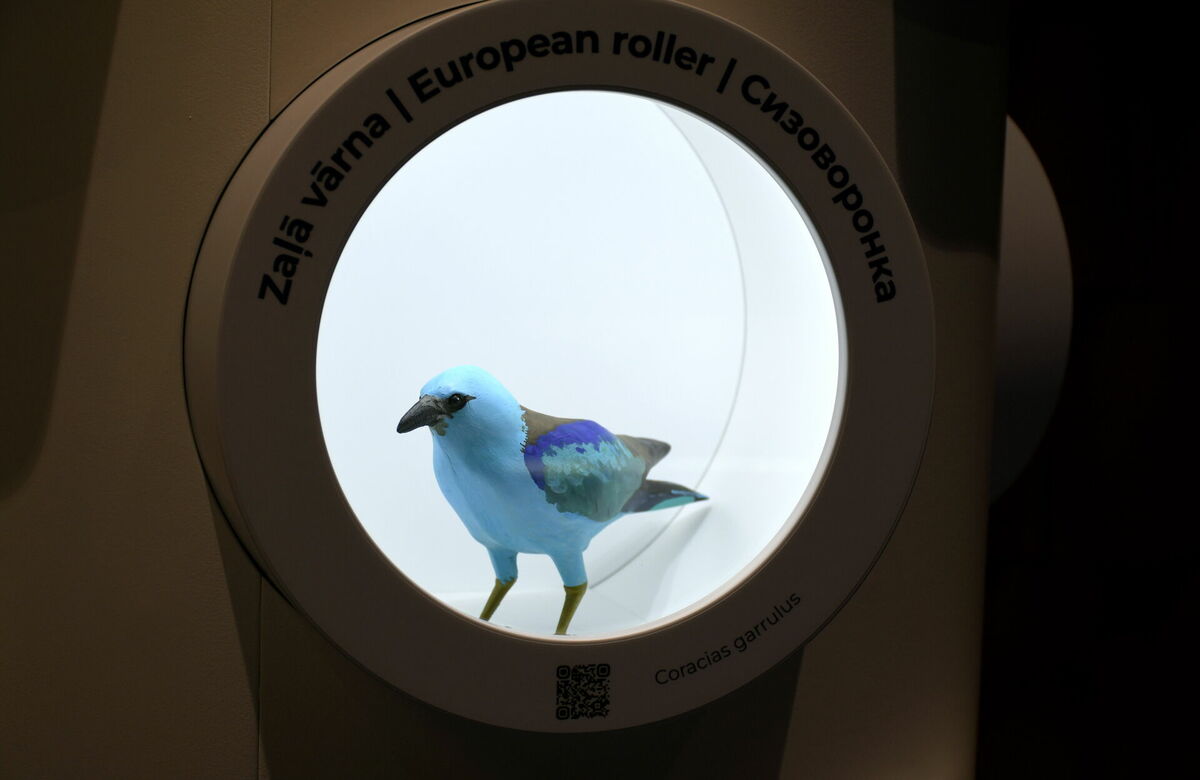 Foto: LETA Foto: LETA