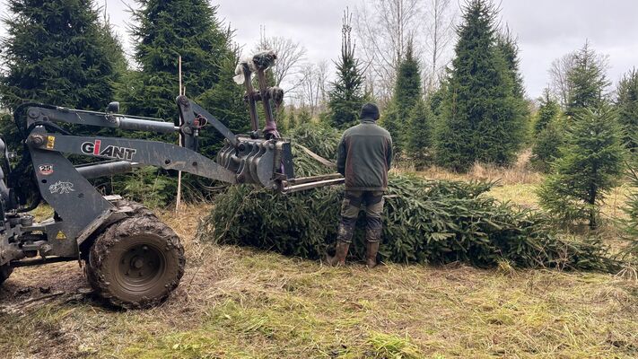 Foto: 360 Ziņas Foto: 360 Ziņas
