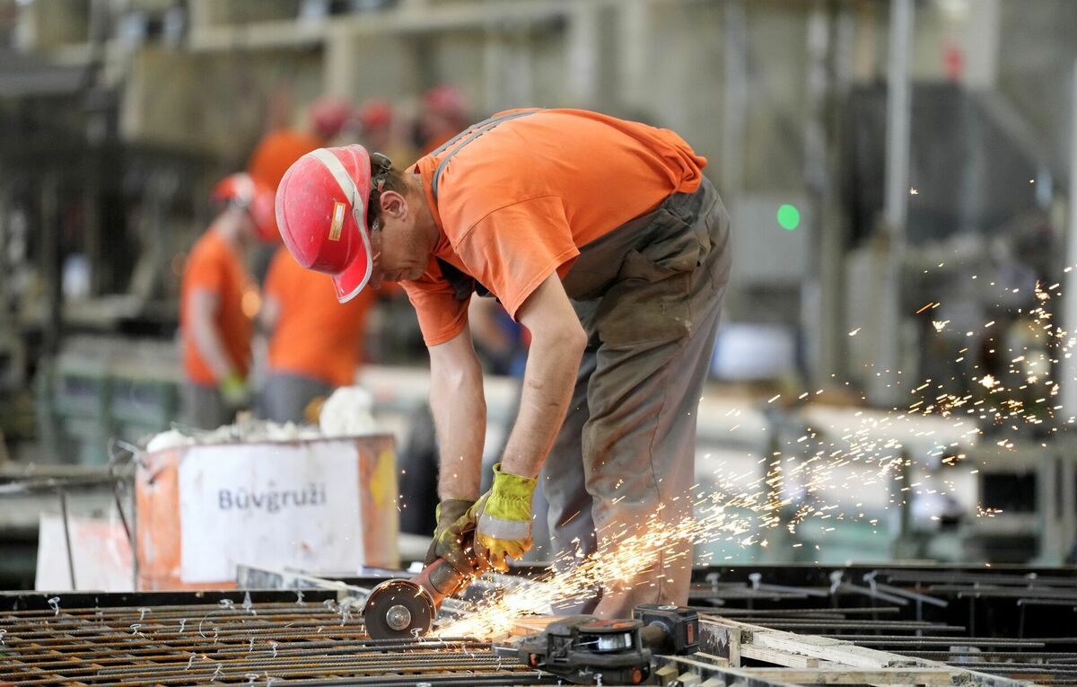 Ražotne, ilustratīvs attēls. Foto: LETA Ražotne, ilustratīvs attēls. Foto: LETA