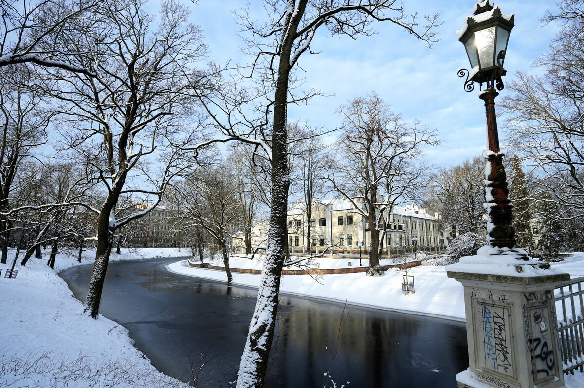 Ilustratīvs attēls. Foto: Evija Trifanova/LETA Ilustratīvs attēls. Foto: Evija Trifanova/LETA