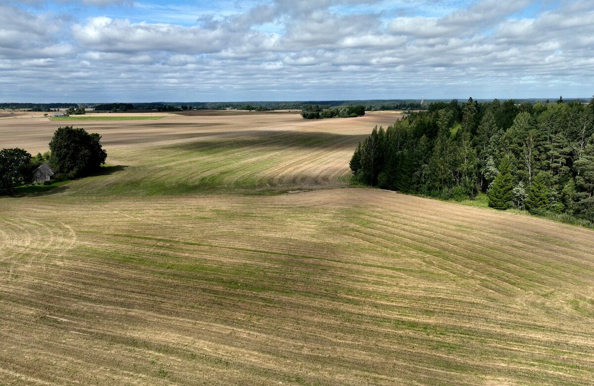 Lauku ainava Talsu novada Abavas pagastā. Foto: Kaspars Nordens/LETA Lauku ainava Talsu novada Abavas pagastā. Foto: Kaspars Nordens/LETA