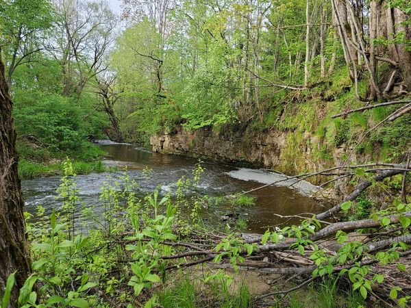 Vizlas dabas taka. Publicitātes foto