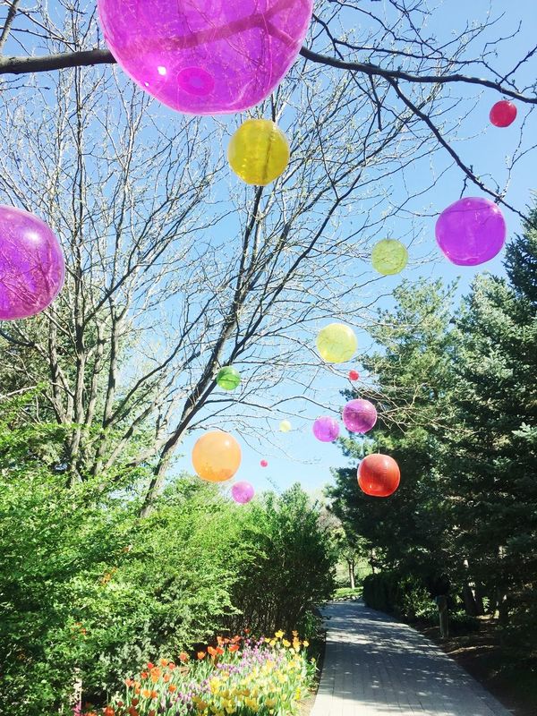 Svētki, baloni. Photo by Jessica Bryant from Pexels