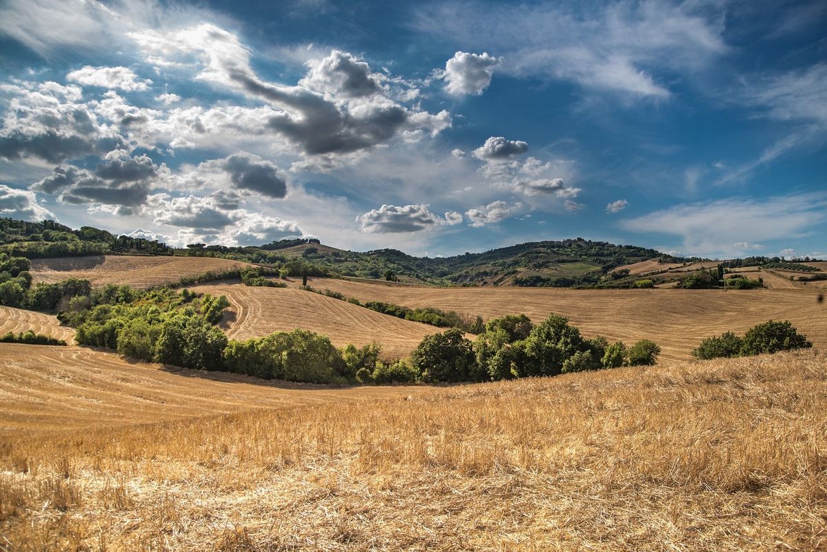 Lauksaimniecības zeme un koki, foto no Pixabay