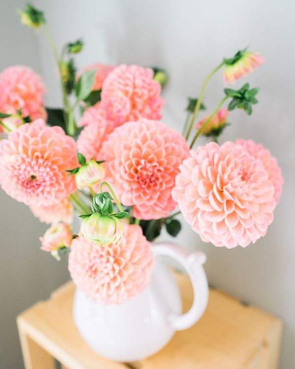 Ziedi vāzē, foto - Pixabay