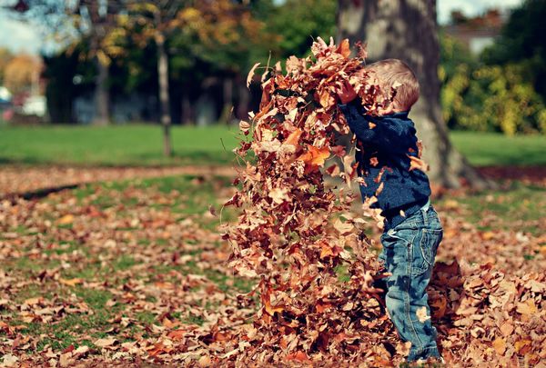 Bērna spēlēšanās rudens lapās, foto - Scott Webb, Unsplash