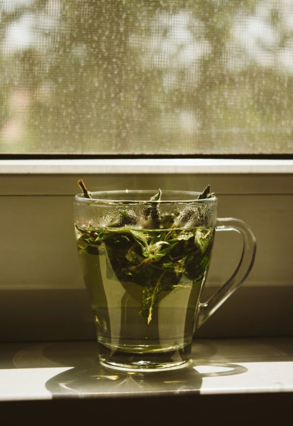 Zaļā tēja, Photo by Anton Darius on Unsplash