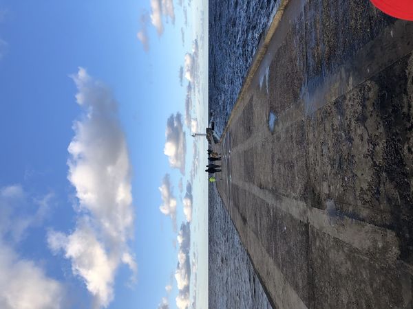 Rietumu mols, foto 1188.lv