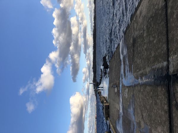 Daugavgrīvas bāka, foto 1188.lv